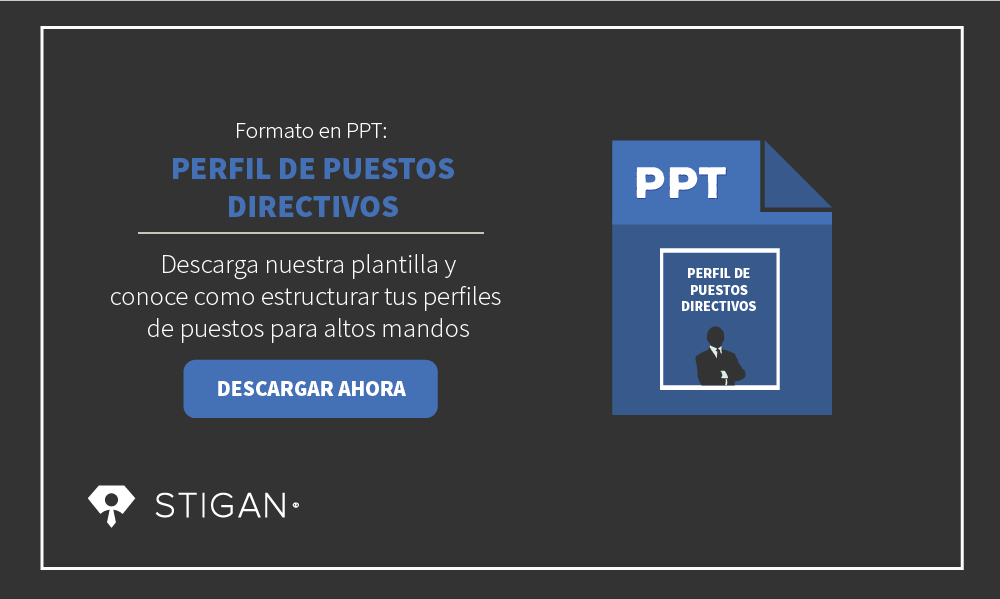 Plantilla Descripción de Puestos Directivos