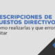 Descripciones de Puestos Directivos