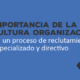 Importancia de la cultura organizacional en un proceso de reclutamiento