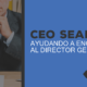 CEO SEARCH